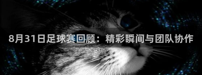 8月31日足球赛回顾：精彩瞬间与团队协作