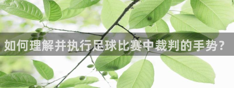 如何理解并执行足球比赛中裁判的手势？