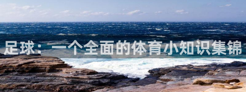 足球：一个全面的体育小知识集锦