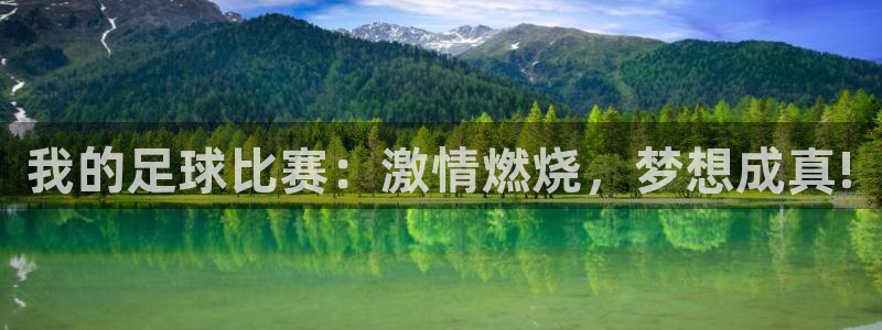 我的足球比赛：激情燃烧，梦想成真!