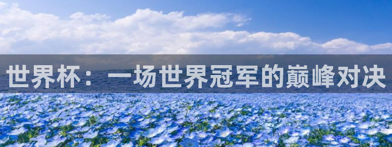  世界杯：一场世界冠军的巅峰对决