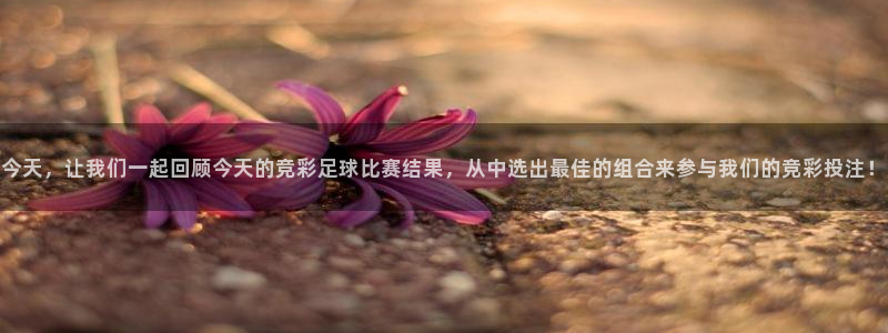 今天，让我们一起回顾今天的竞彩足球比赛结果，从中选出最佳的组