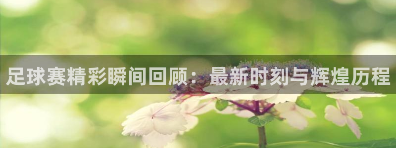 足球赛精彩瞬间回顾：最新时刻与辉煌历程