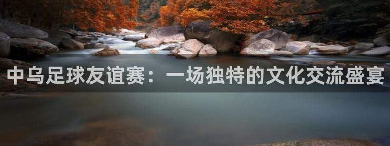 中乌足球友谊赛：一场独特的文化交流盛宴