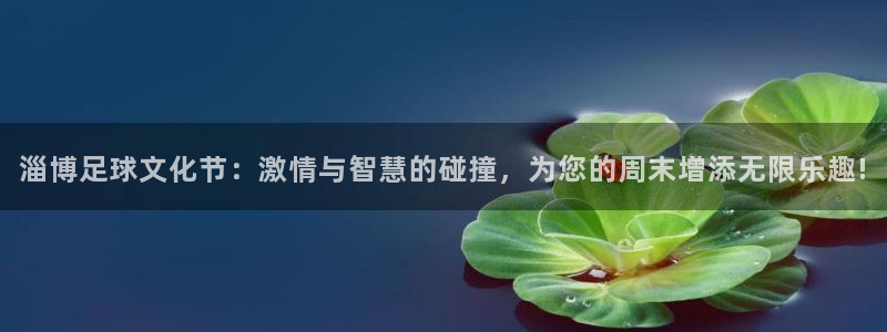  淄博足球文化节：激情与智慧的碰撞，为您的周末增添无限乐趣!