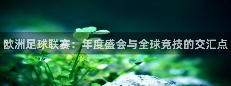 欧洲足球联赛：年度盛会与全球竞技的交汇点