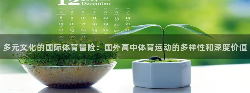 k1体育十年品牌值得信赖网址：多元文化的国际体育冒险：国外高中体育运动的多样性和深度价值