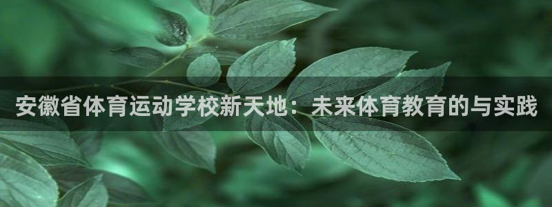 k1体育十年品牌官网：安徽省体育运动学校新天地：未来体育教育的与实践