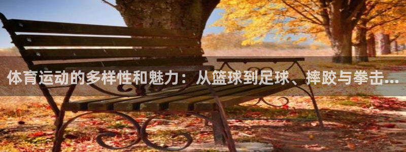 k1体育入口：体育运动的多样性和魅力：从篮球到足球、摔跤与拳击…