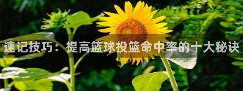k1体育棋牌：速记技巧：提高篮球投篮命中率的十大秘诀