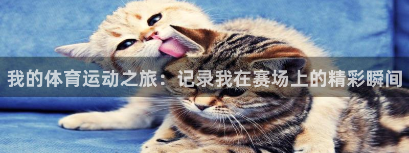 k1体育十年品牌官网：我的体育运动之旅：记录我在赛场上的精彩瞬间