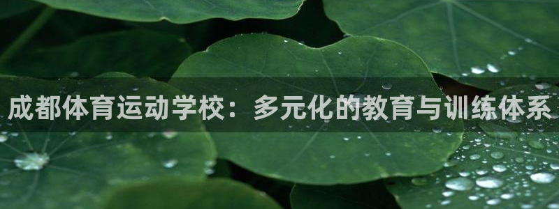 k1体育平台3915：成都体育运动学校：多元化的教育与训练体系