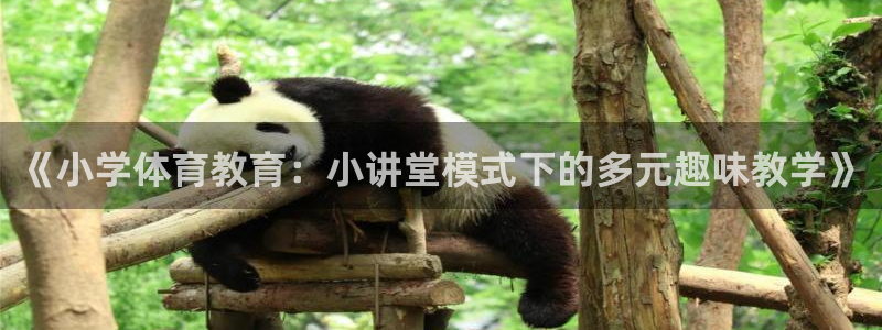 k1体育十年平台：《小学体育教育：小讲堂模式下的多元趣味教学》