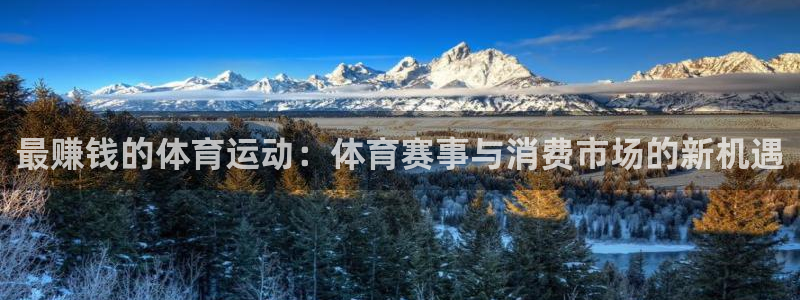 k1体育十年登录入口：最赚钱的体育运动：体育赛事与消费市场的新机遇
