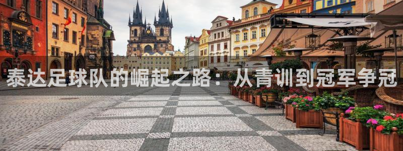 泰达足球队的崛起之路：从青训到冠军争