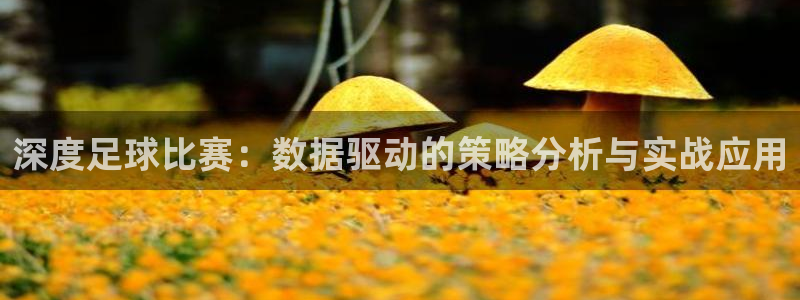 深度足球比赛：数据驱动的策略分析与实
