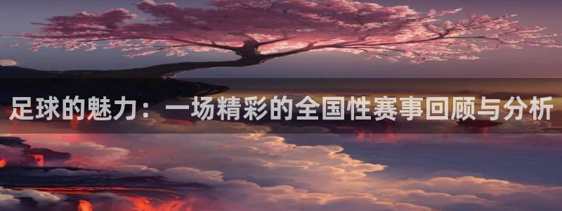 足球的魅力：一场精彩的全国性赛事回顾