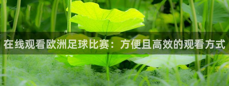 在线观看欧洲足球比赛：方便且高效的观