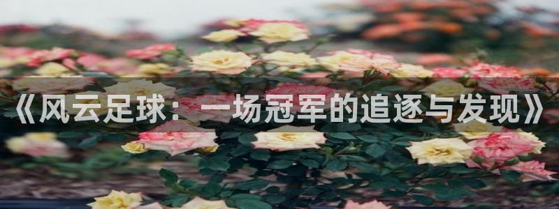 《风云足球：一场冠军的追逐与发现》
