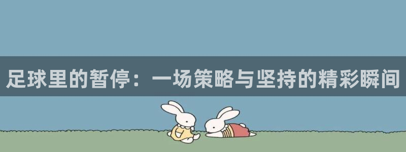 足球里的暂停：一场策略与坚持的精彩瞬