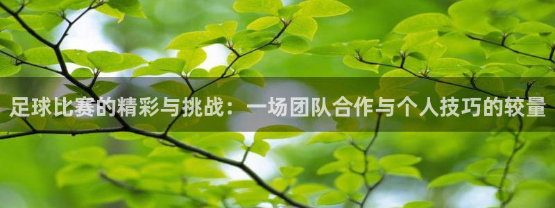 足球比赛的精彩与挑战：一场团队合作与个人技巧的较量
