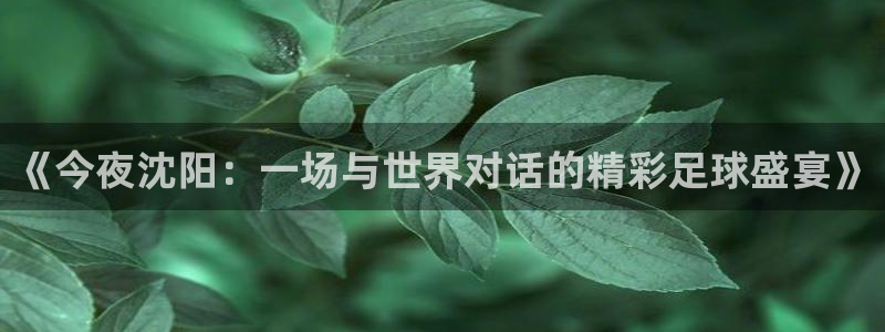  《今夜沈阳：一场与世界对话的精彩足球盛宴》