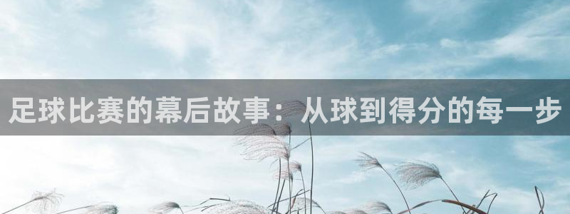 足球比赛的幕后故事：从球到得分的每一步