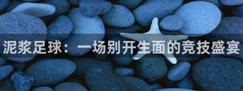  泥浆足球：一场别开生面的竞技盛宴