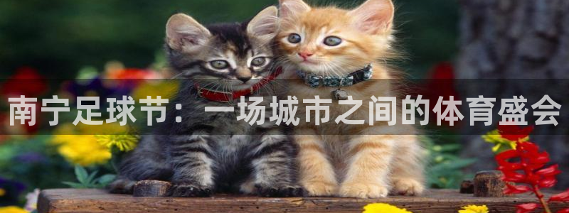  南宁足球节：一场城市之间的体育盛会