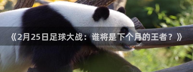  《2月25日足球大战：谁将是下个月的王者？》
