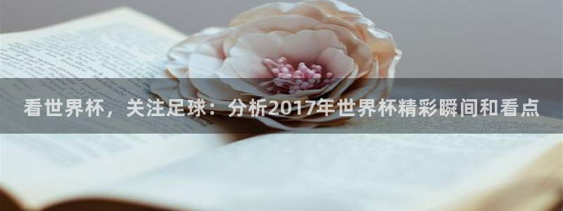 看世界杯，关注足球：分析2017年世