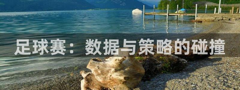  足球赛：数据与策略的碰撞