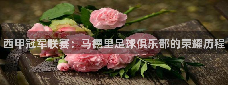 西甲冠军联赛：马德里足球俱乐部的荣耀