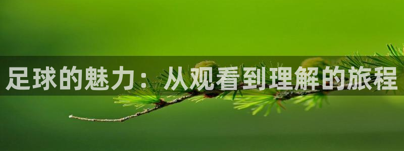 足球的魅力：从观看到理解的旅程